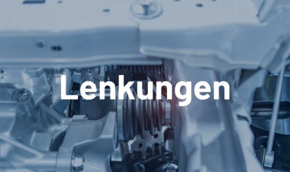 LKW-Bus-Lenkungen-Reparatur