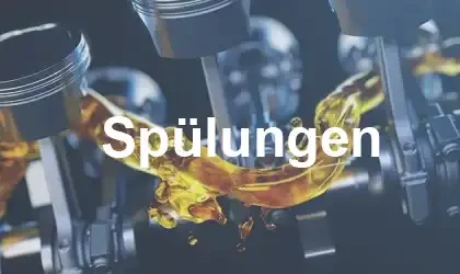 PKW-Transporter-Spülungen